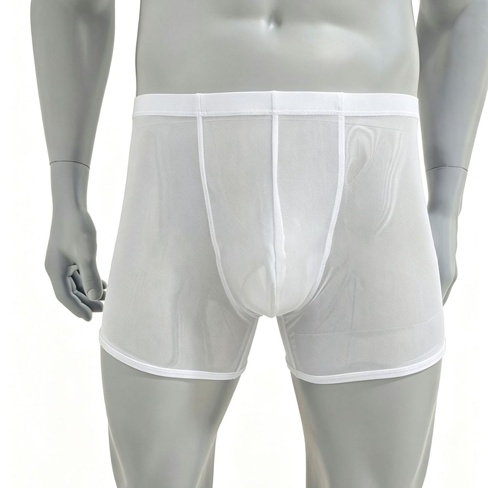 Men Mesh See-through Ultra-thi – обзор и цена Long Leg Trunk Men