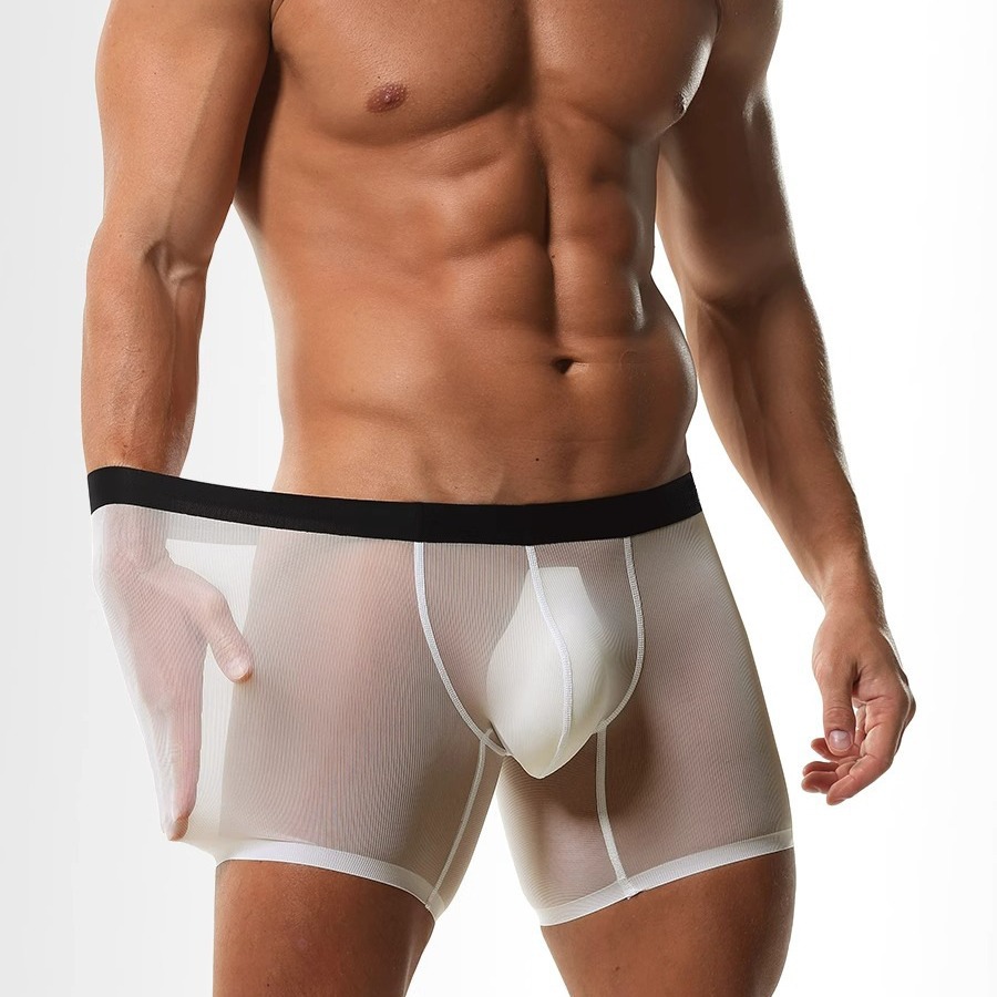 Mens Long Leg Boxer Shorts Ice – обзор и цена Long Leg Trunk Men