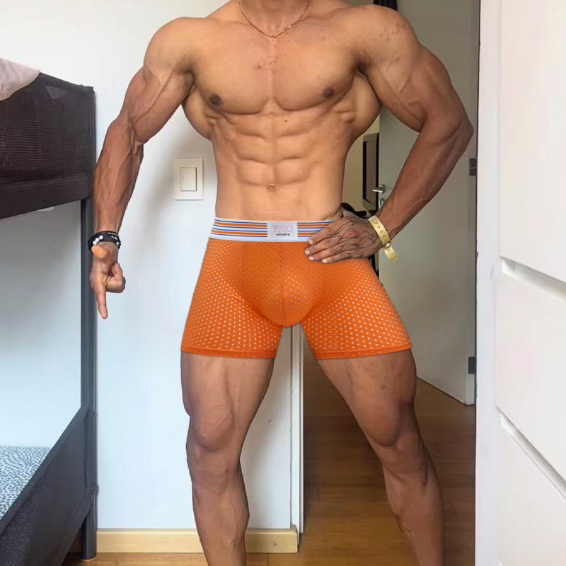Fashionable Freely Detachable  – обзор и цена Mesh Sport Boxer